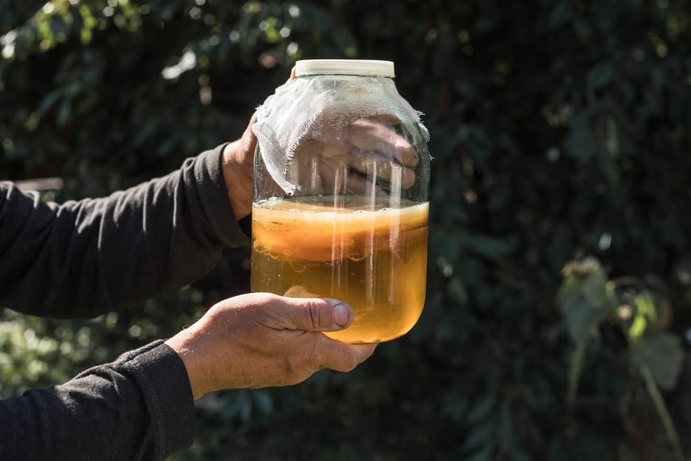 Health Benefits of Kombucha