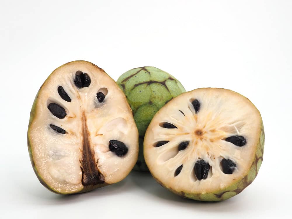 What is cherimoya fruits Custard Apple
