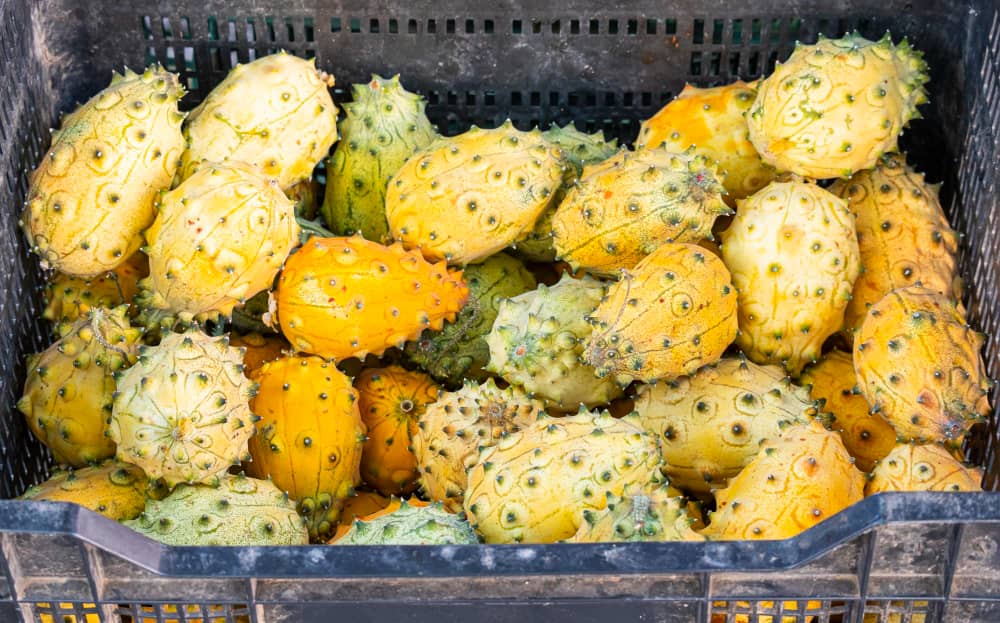 Health Benefits Of Kiwano