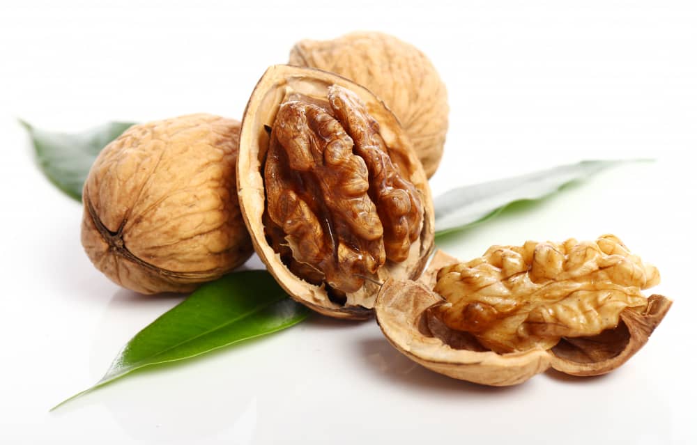 walnut High in Polyphenols