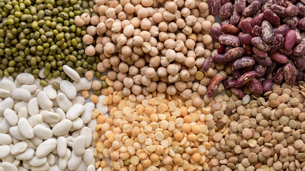 Beans and legumes protein