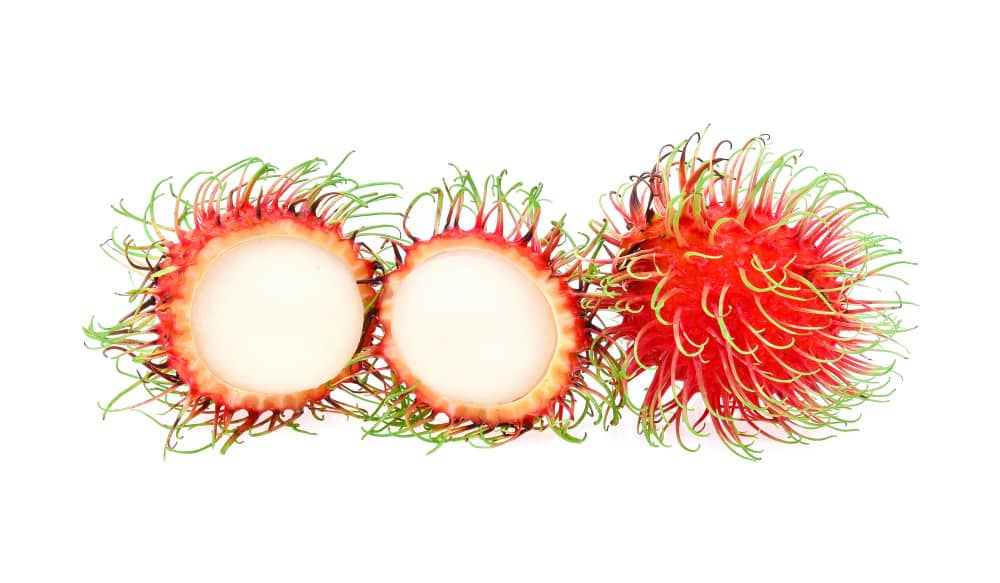 Rambutan exotic fruit