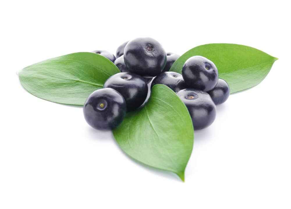 Acai Berries